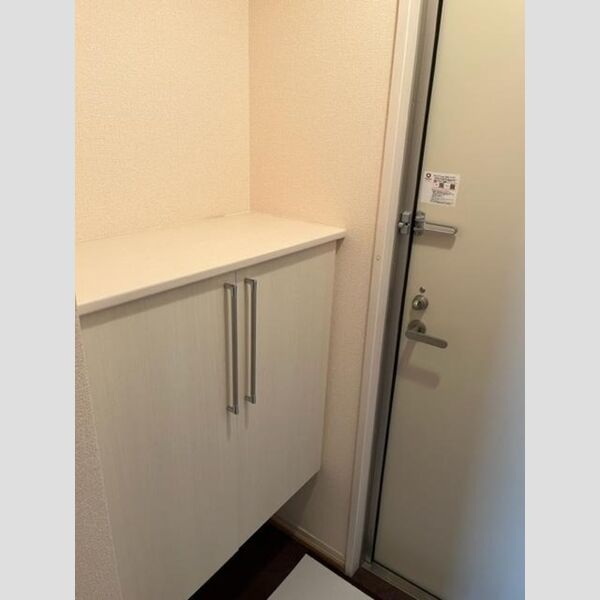 玄関 (玄関 シューズボックス)