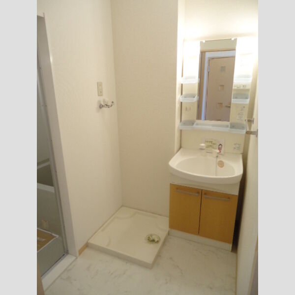 洗面所 (洗面化粧台、室内洗濯機置き場)