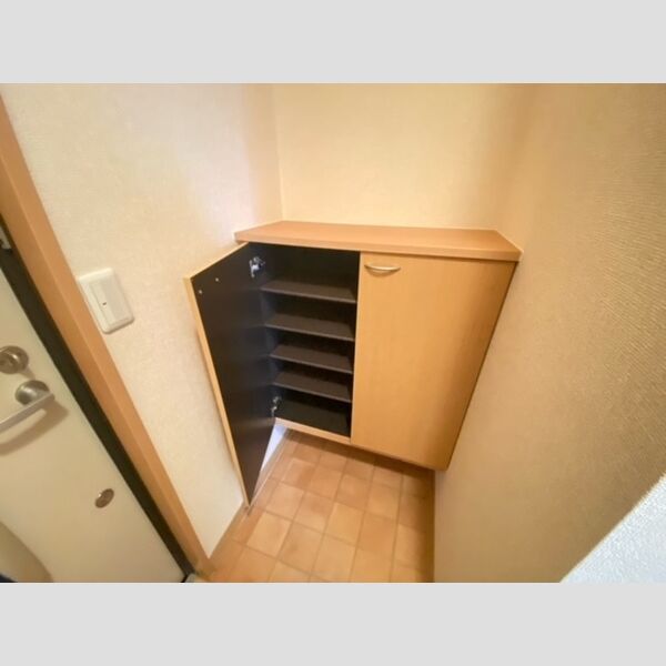 玄関 (シューズボックス)