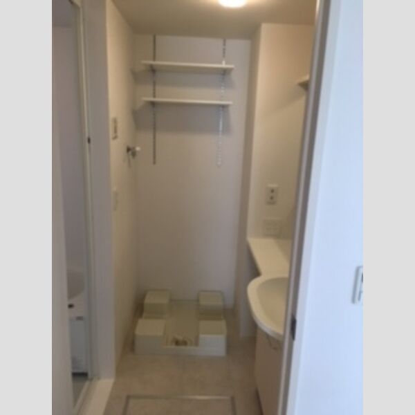 洗面所 (室内洗濯機置き場)