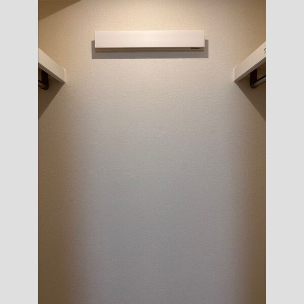 収納 (クローゼット)