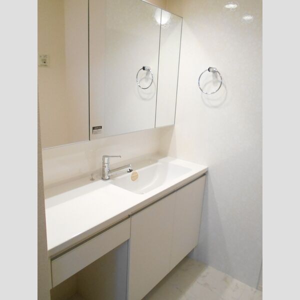 洗面所 (洗髪洗面化粧台)