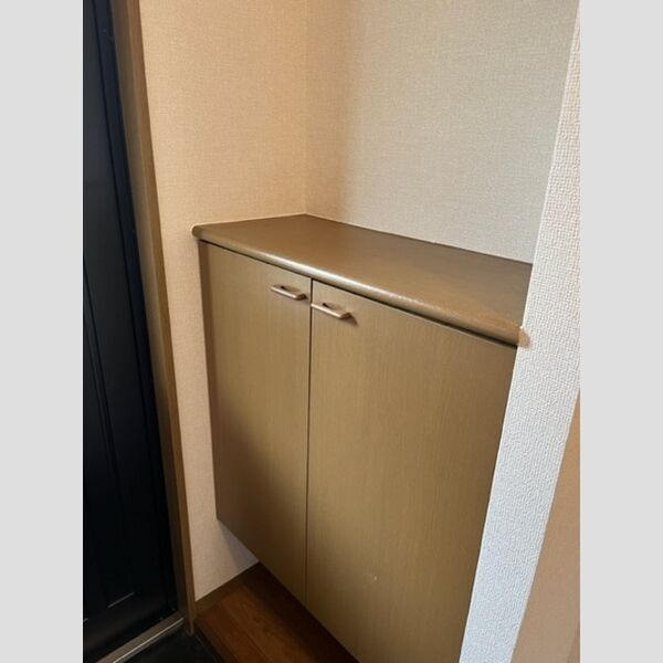 玄関 (シューズボックス)