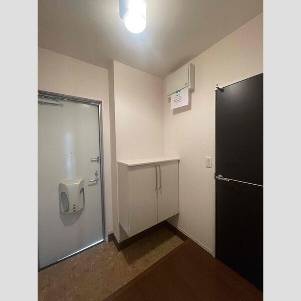 玄関 (シューズボックス(カウンタータイプ))