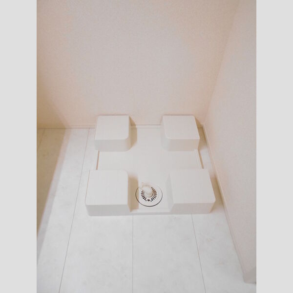 その他 (室内洗濯機置場)