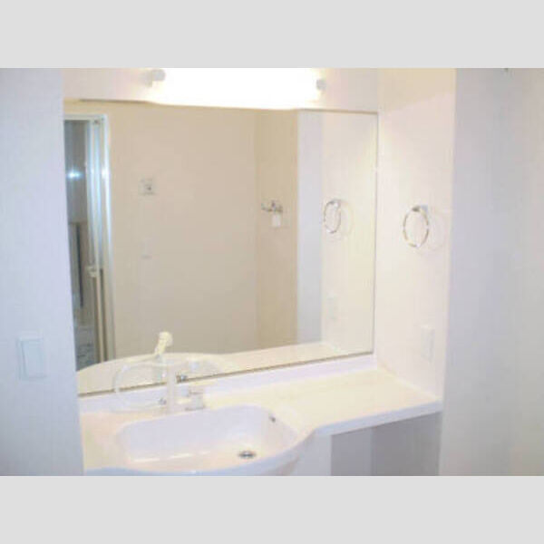 洗面所 (洗髪洗面台)