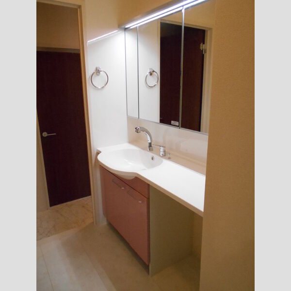 洗面所 (洗髪洗面化粧台)