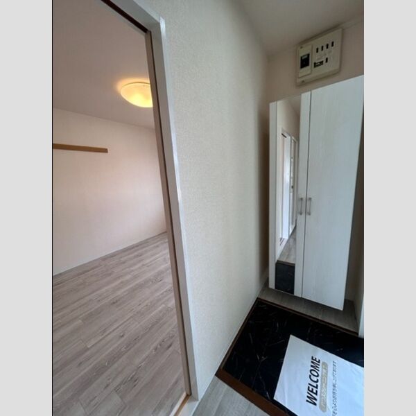 玄関 (シューズボックス)