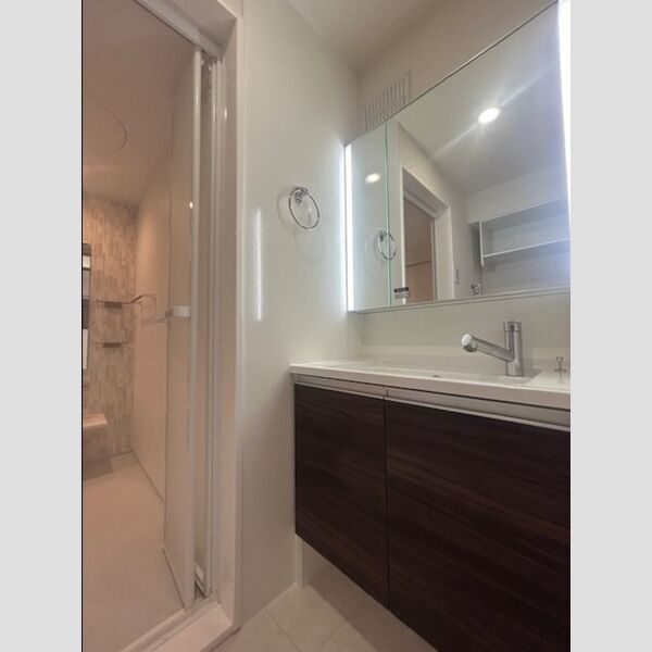 洗面所 (洗髪洗面化粧台)