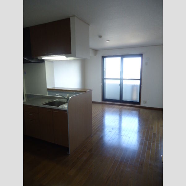 居室・リビング (LDK)