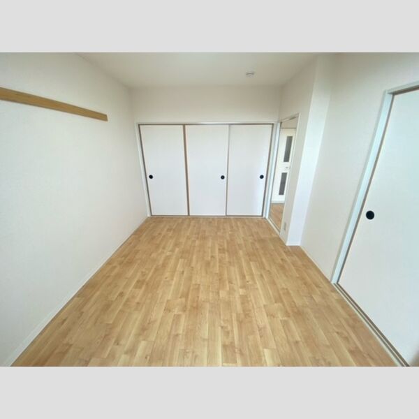 その他 (南西洋室)