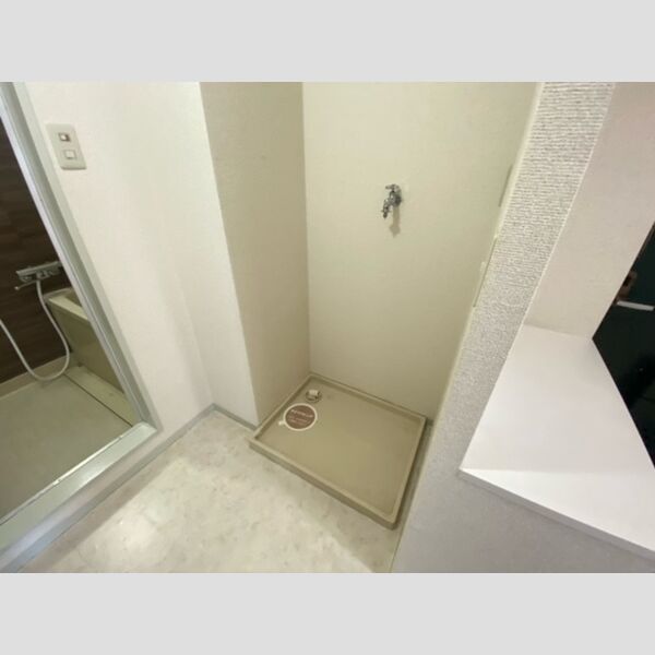 その他 (室内洗濯機置き場)