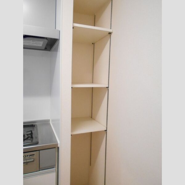 収納 (キッチン横物入れ)