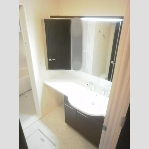 洗面所 (洗髪洗面化粧台)