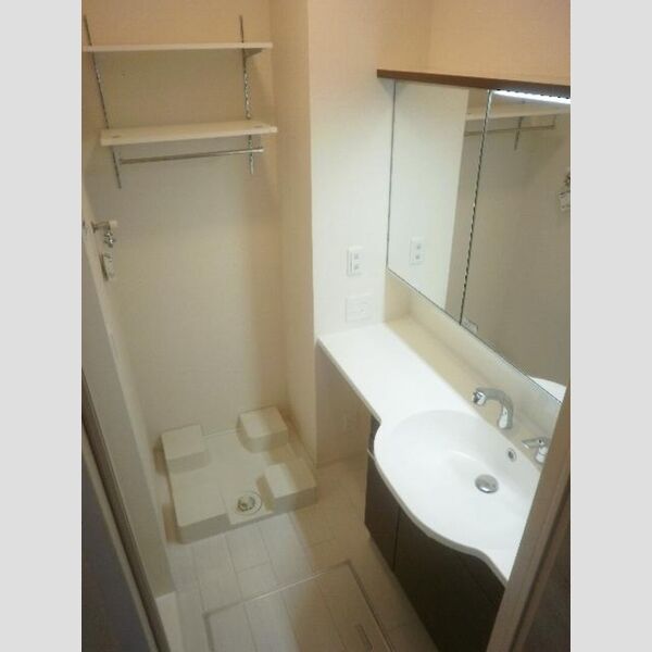 洗面所 (室内洗濯機置場)