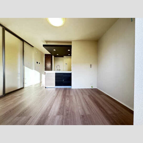 居室・リビング (LDK)