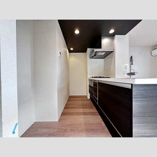 キッチン (対面システムキッチン(食器洗浄機付き))