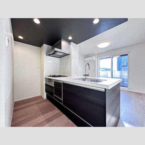 キッチン (対面システムキッチン(食器洗浄機付き))