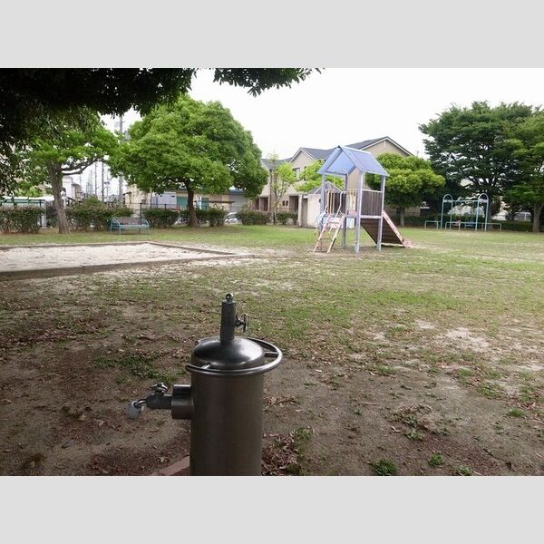 現地周辺 (近隣公園 50m)