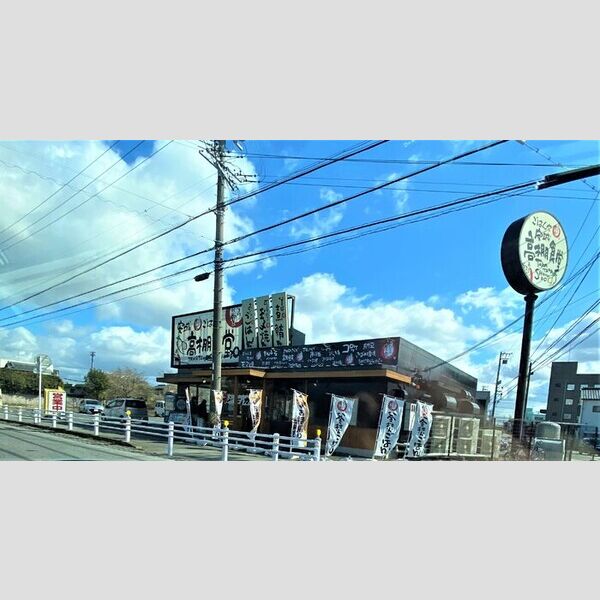 現地周辺 (まいどおおきに食堂安城高棚食堂　1102m)