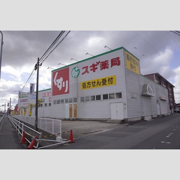 現地周辺 (500m スギ薬局)