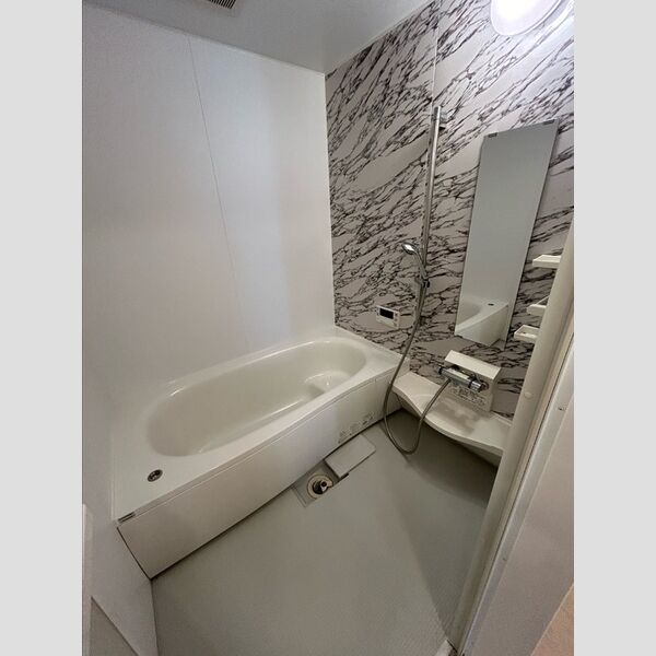 バス (一坪サイズ浴槽)