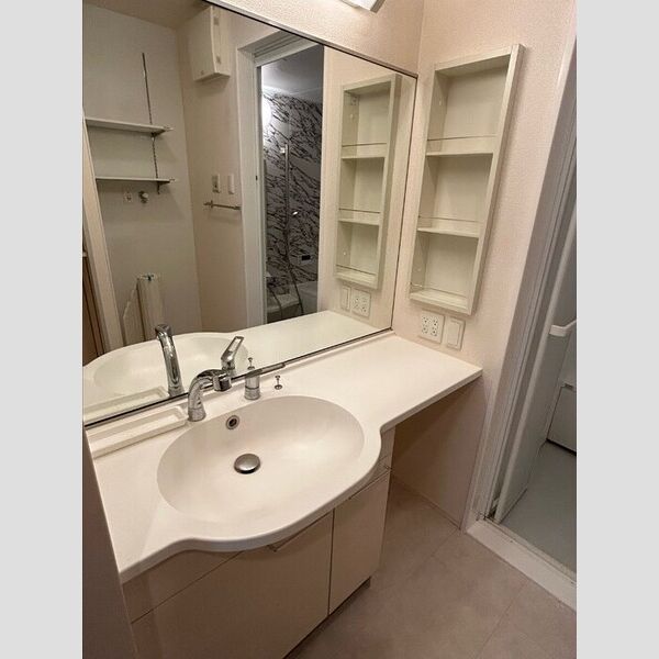 洗面所 (洗髪洗面化粧台)