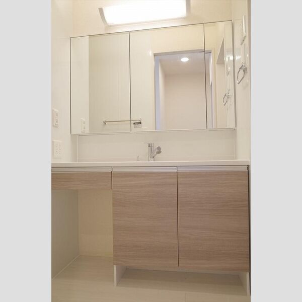 洗面所 (カウンター洗面)