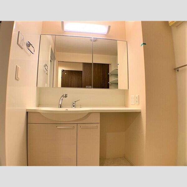 洗面所 (洗髪洗面化粧台)