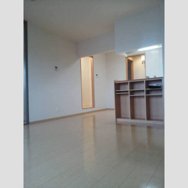 居室・リビング (LDK)