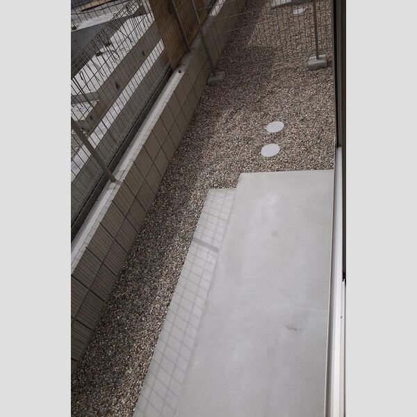 その他 (専用庭)