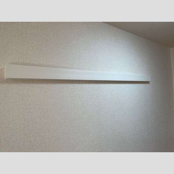 その他 (ハングバー)