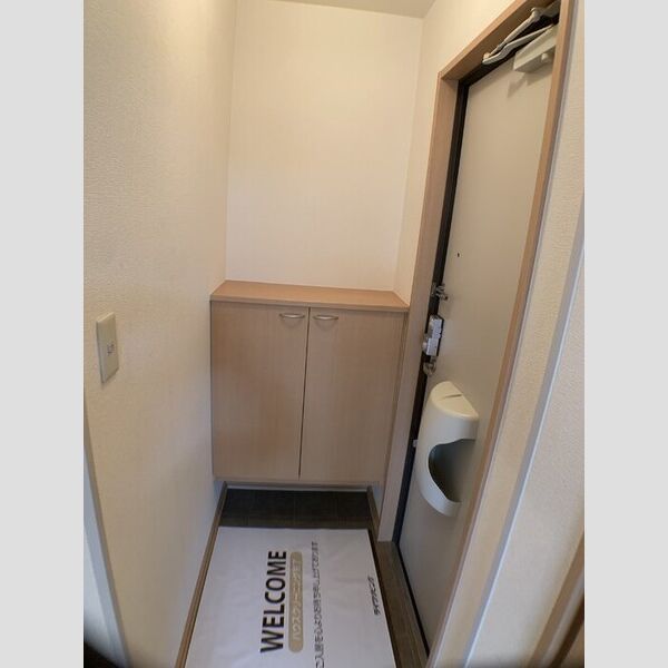 玄関 (シューズボックス(カウンタータイプ))