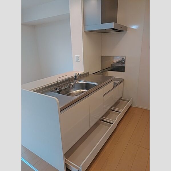 キッチン (対面キッチン(アンダーストッカータイプ))