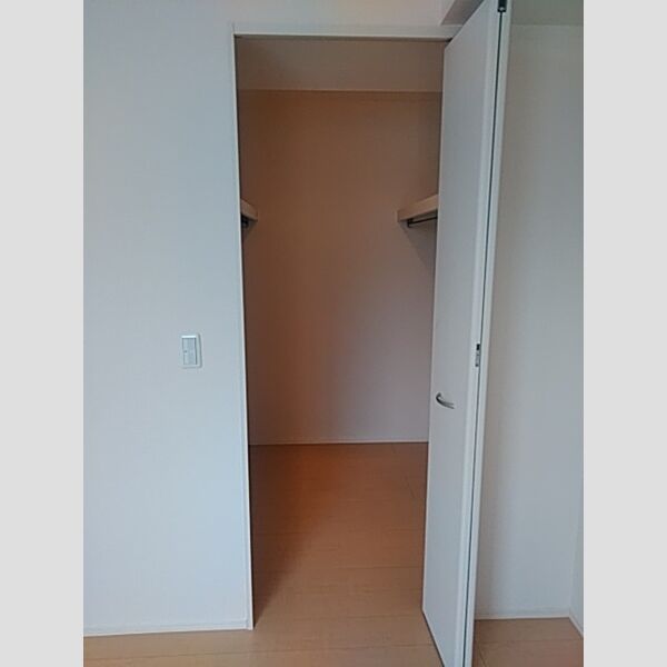 収納 (ウォークインクローゼット)