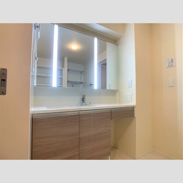 洗面所 (洗髪洗面化粧台)