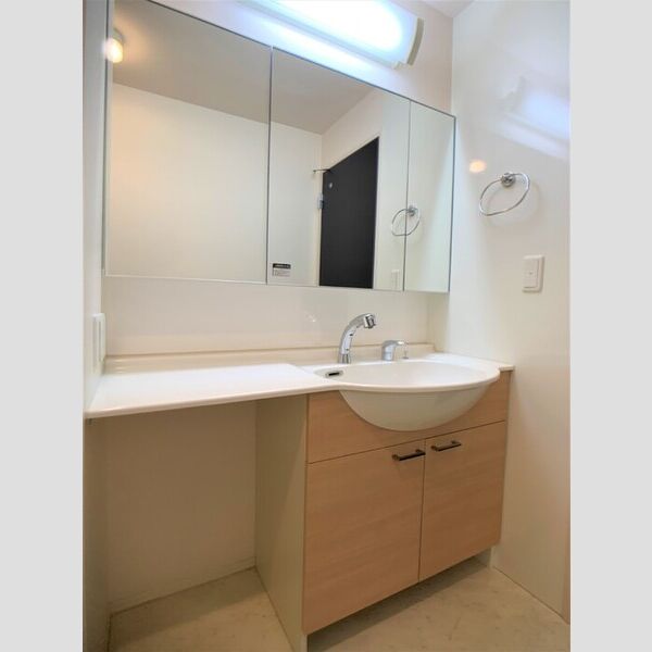 洗面所 (洗髪洗面化粧台)