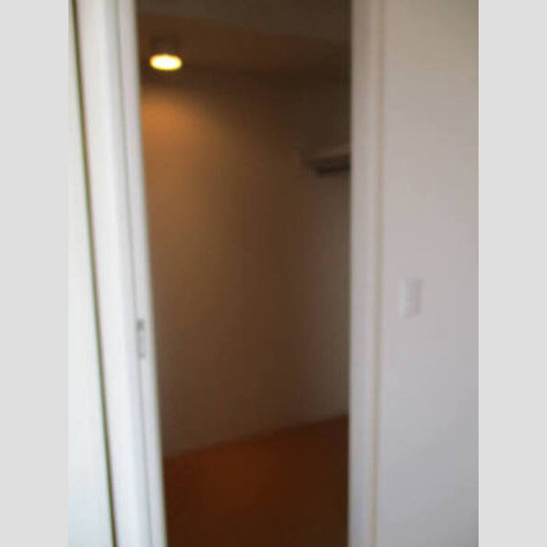 収納 (北洋室にはウォークインクローゼット♪)