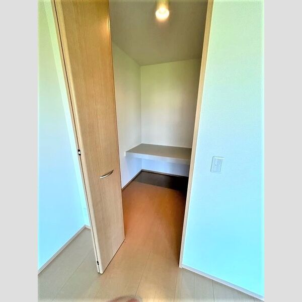 収納 (ウォークインクローゼット)