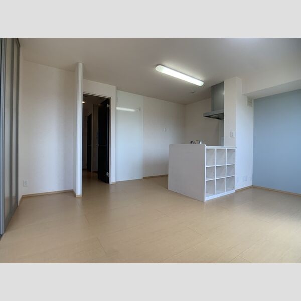 居室・リビング (LDK)