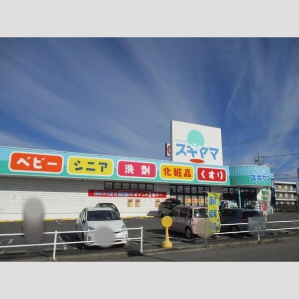 現地周辺 (薬局　スギヤマ)