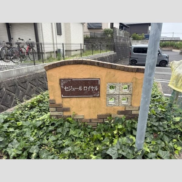 現地周辺