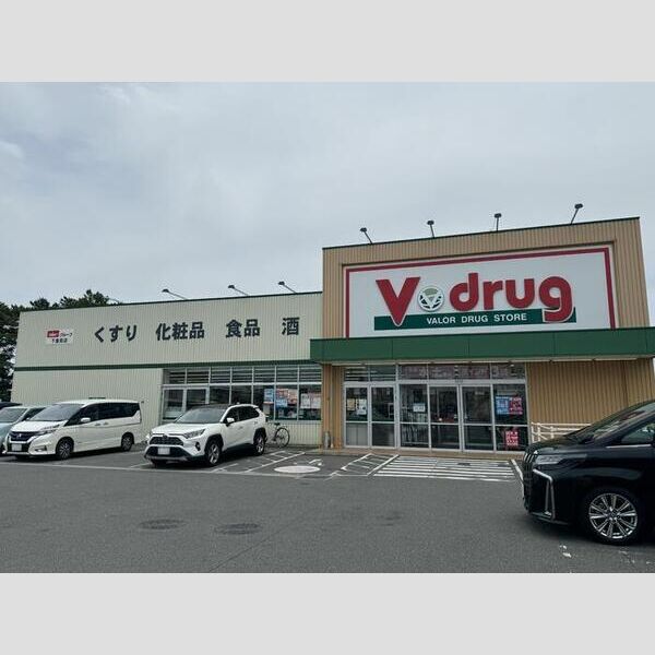 現地周辺 (V・ドラッグ下重原店(307m))