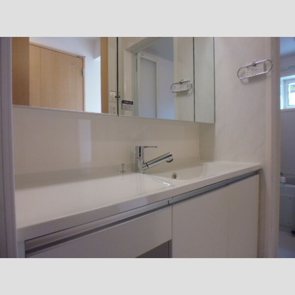 洗面所 (洗髪洗面化粧台)