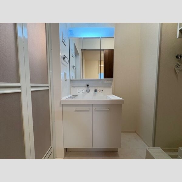 洗面所 (洗髪洗面化粧台)