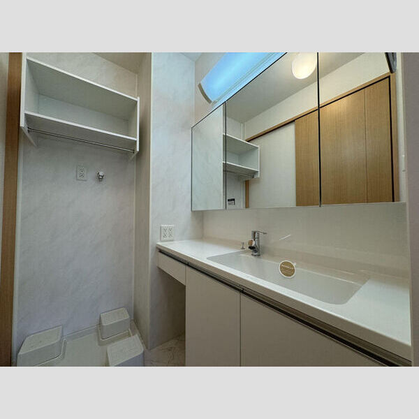 洗面所 (洗髪洗面化粧台)