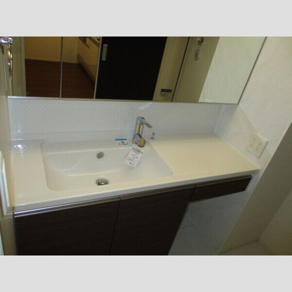 洗面所 (洗髪洗面化粧台)