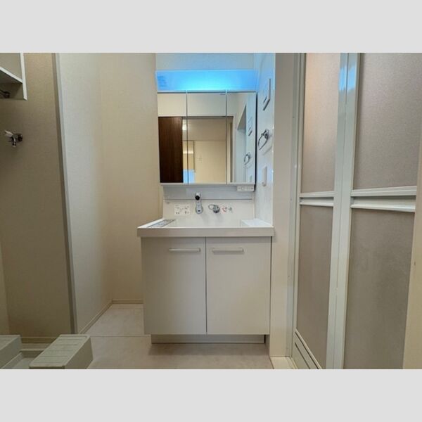 洗面所 (洗髪洗面化粧台)