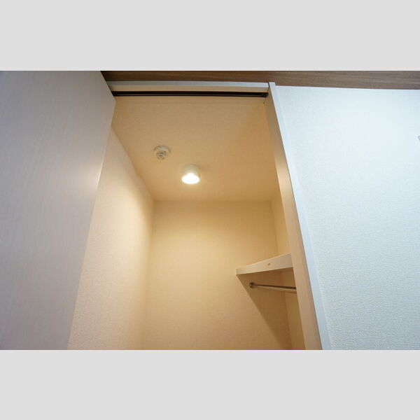 収納 (ウォーキングクローゼット)