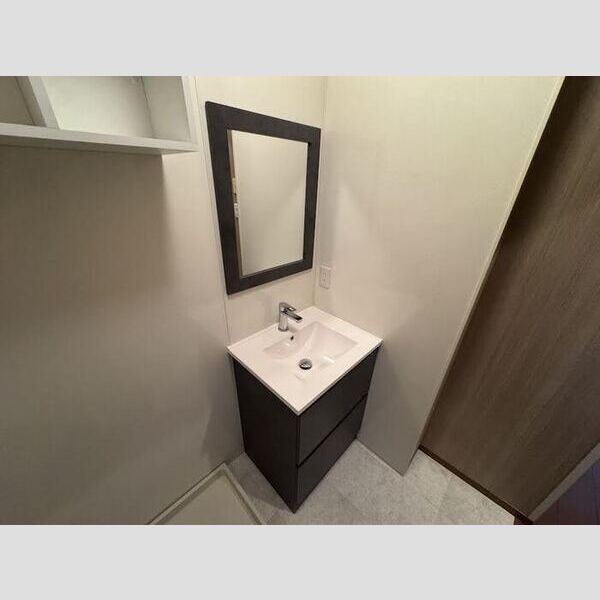 洗面所 (洗髪洗面化粧台)